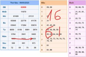 soi-cau-ngay-10-05-2025