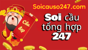 Huong-dan-choi-soi-cau-tong-hop-247