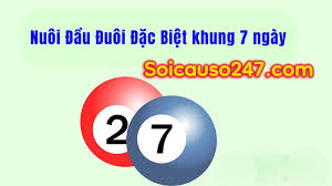 nuoi-dau-duoi-khung-7-ngay