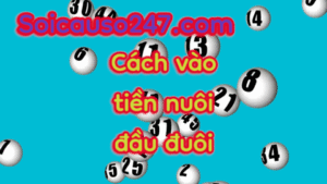 soi-cau-dau-duoi-nuoi-khung-7-ngay